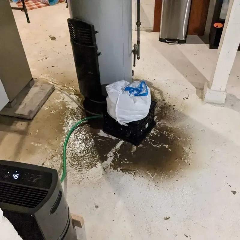 Sewage Backup Cleanup Service in Orchidlands Estates, HI